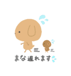 まなちゃんが使うアニマルまるちゃん（個別スタンプ：31）
