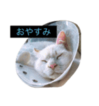 リキ＆あお（個別スタンプ：5）