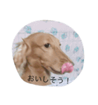リキ＆あお（個別スタンプ：7）
