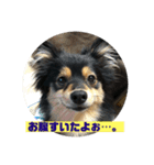 もあちゃんのキュートなスタンプ（個別スタンプ：3）