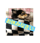 もあちゃんのキュートなスタンプ（個別スタンプ：11）