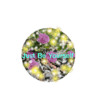 Nature energy sticker（個別スタンプ：1）