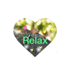 Nature energy sticker（個別スタンプ：6）