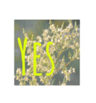 Nature energy sticker（個別スタンプ：13）