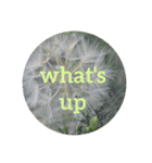 Nature energy sticker（個別スタンプ：15）