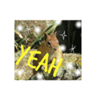 Nature energy sticker（個別スタンプ：16）