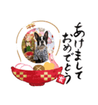 ボステリ★大五郎くん2（個別スタンプ：7）