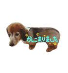リカのミカン（個別スタンプ：4）