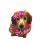リカのミカン（個別スタンプ：6）