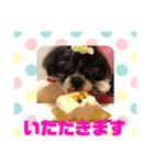 老犬シーズーのゆるいスタンプ（個別スタンプ：3）