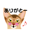 アビにゃん 顔アップ（個別スタンプ：3）