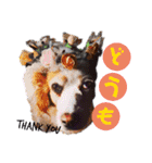 3ニャンとゆかいな仲間達（個別スタンプ：6）