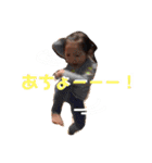 かなえーる（個別スタンプ：6）