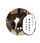 かなえーる（個別スタンプ：15）