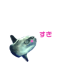 ハナハナマンボボ（個別スタンプ：5）