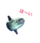 ハナハナマンボボ（個別スタンプ：7）