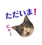 まんまるこったんスタンプ（個別スタンプ：7）