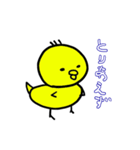 ぴより1（個別スタンプ：2）