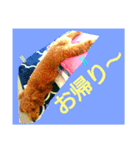 トイプードル,,アトム君スタンプ（個別スタンプ：7）
