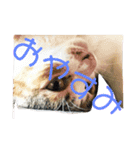 日常会話 生活。（個別スタンプ：2）