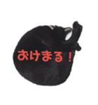 黒猫の運くん。（個別スタンプ：2）