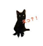 黒猫の運くん。（個別スタンプ：4）