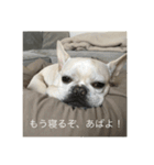 とらおさん（個別スタンプ：3）