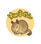 デグーてんこもり（個別スタンプ：18）