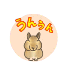 デグーてんこもり（個別スタンプ：23）