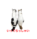 ハンスとふじ（個別スタンプ：3）