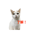 ハンスとふじ（個別スタンプ：9）