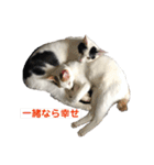 ハンスとふじ（個別スタンプ：12）