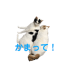 ハンスとふじ（個別スタンプ：17）