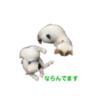 ハンスとふじ（個別スタンプ：18）