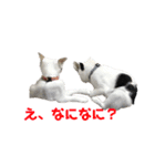 ハンスとふじ（個別スタンプ：21）