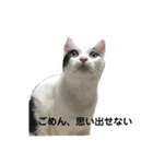ハンスとふじ（個別スタンプ：26）