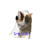 ハンスとふじ（個別スタンプ：27）