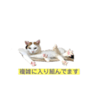 ハンスとふじ（個別スタンプ：32）