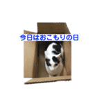 ハンスとふじ（個別スタンプ：38）