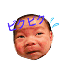 ちびぼーちゃんの毎日(^○^)（個別スタンプ：34）