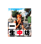 南部の王者ターラちゃん（個別スタンプ：14）