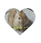 うさぎのち晴れ♪
時々⭐ちんちら⑤（個別スタンプ：2）