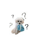 あむ☆もこ（個別スタンプ：5）