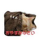 ダラダラルンバとクールチョコ（個別スタンプ：7）