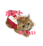 ダラダラルンバとクールチョコ（個別スタンプ：27）