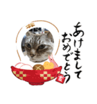ダラダラルンバとクールチョコ（個別スタンプ：32）