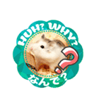 HammyVille 2 - Cute and Fun Pet Hamsters（個別スタンプ：9）