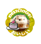 HammyVille 2 - Cute and Fun Pet Hamsters（個別スタンプ：10）