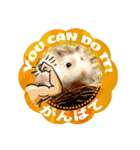 HammyVille 2 - Cute and Fun Pet Hamsters（個別スタンプ：11）