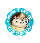 HammyVille 2 - Cute and Fun Pet Hamsters（個別スタンプ：17）